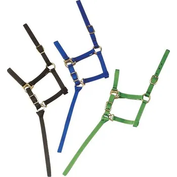 Ohlávka Hříbě s vodící šňůrkou fialová