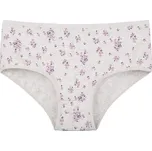 Donella Dámské kalhotky Sarah: světle šedá 3XL