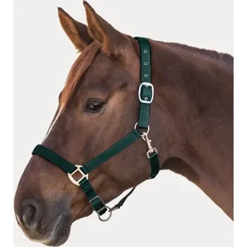 Vybavení pro koně WALDHAUSEN Ohlávka Waldhausen Satin podložená lahvová Cob