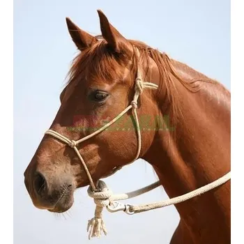 Ohlávka provazová /světlá modrá/, Velikost 2