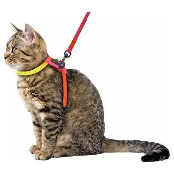 obojek pro kočku Postroj RAINBOW pro kočku s vodítkem