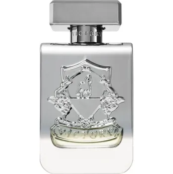 Unisex parfém Victory Silver parfémovaná voda unisex 100 ml