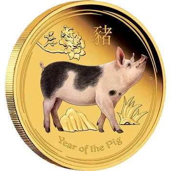 Zlatá mince Rok Vepře 1 oz proof kolor 2019 Lunární série II
