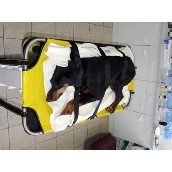 Nosítka na zvířata