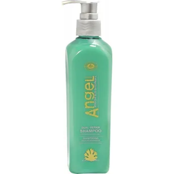 Šampon Angel Professional Dual Repair šampon 250ml