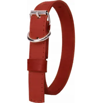 Obojek pro psa Kožený obojek pro psa 2 cm pohodlný odolný přírodní ČERVENÝ XS