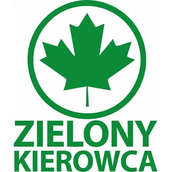 Samolepicí dekorace na vozidlo NÁLEPKA ZIELONY LISTEK ZELENÝ LIST PRO ZAČÍNAJÍCÍ ŘIDIČE NA AUTO