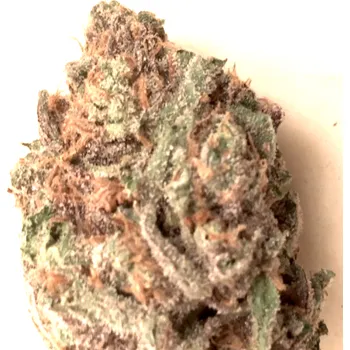 Semeno BSBs Cali Connection - Skywalker Cookies 1 ks