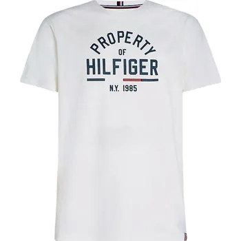 Pánské tričko Pánské tričko Tommy Hilfiger Graphic SS Tee - ancient white Bílý (XL)