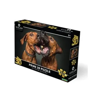 Puzzle Puzzle 3D - Psi (cs)