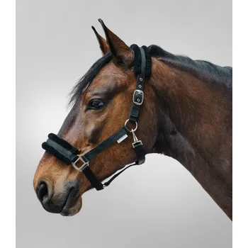 Ohlávka s beránkem 'First' Waldhausen, černá, Pony