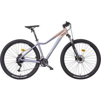 Horské kolo Mayo XC 29" Basic Lite D Horské kolo 2025, rám 17", zlato-stříbrná, Brzdy Hydraulické brzdy