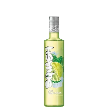 Likér SQUASH Mojito Sensation 15% 0,5l