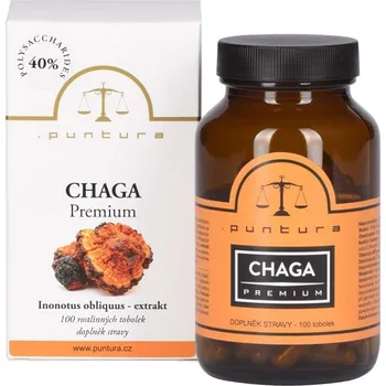 Přírodní produkt Chaga Puntura Premium - 100 kapslí