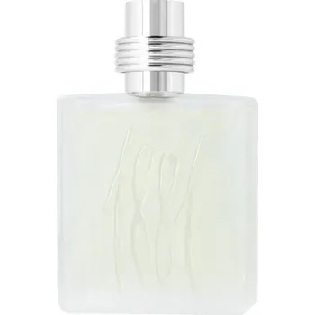 Pánský parfém Cerruti 1881 Pour Homme EDT 100 ml M