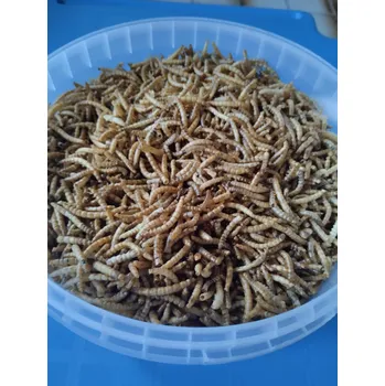 Krmivo pro rybičky Moučný červ sušený ml: balení 500 ml