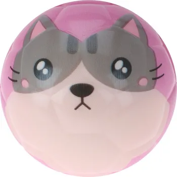 Skákací míček 62 Kočka