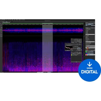 Hudební software Steinberg SpectraLayers Pro 12 Full Version (Digitální produkt)