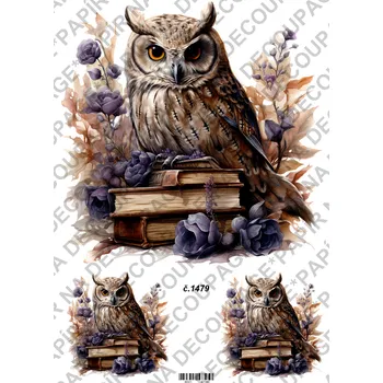 Umělecký papír Rýžový a soft papír na decoupage - Sova na knihách - KB01479 Materiál: Soft, Rozměr: A4
