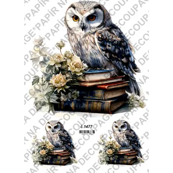 Umělecký papír Rýžový a soft papír na decoupage - Sova na knihách - KB01477 Materiál: Soft, Rozměr: A4