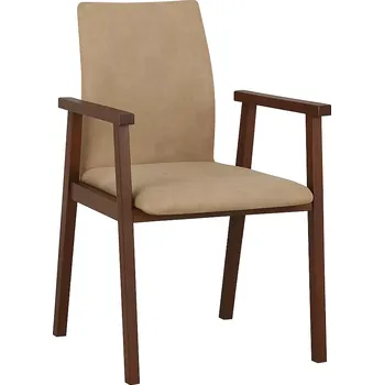 Jídelní židle DREWMIX Židle pro seniory s područkami Dřevěná Vícebarevná