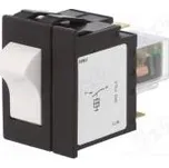 Jistič Ujmen 400VAC 60VDC 12A DPST Póly 2 na panel,SNAP-IN