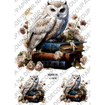 Umělecký papír Rýžový a soft papír na decoupage - Sova na knihách - KB01478 Materiál: Soft, Rozměr: A4