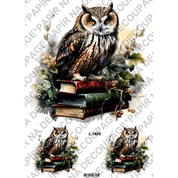 Umělecký papír Rýžový a soft papír na decoupage - Sova na knihách - KB01480 Materiál: Soft, Rozměr: A4