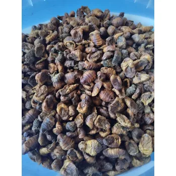 Krmivo pro rybičky Bourec morušový ml: balení 250 ml