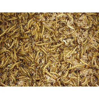 Hnojivo Zophobas morio l: balení 1 litr