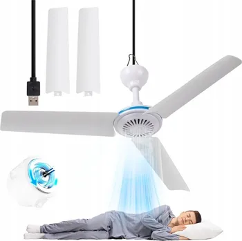 Domácí ventilátor Stropní ventilátor bez bílého Model