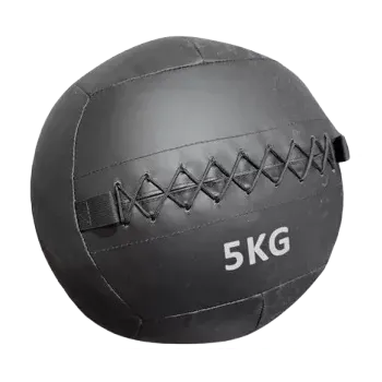 Medicinbal TRUESTEEL Posilovací míč Wall Ball 12 kg