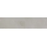 RAKO Fly RAKO Fly DCPVD883 schodovka šedá 30x120 cm