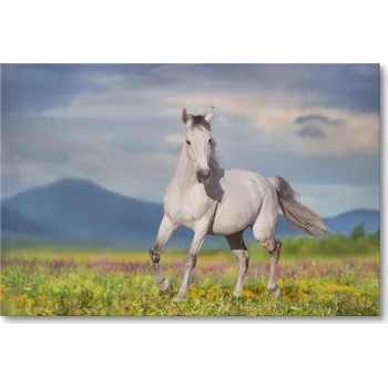 Obraz Obraz na plátně KŮŇ NA LOUCE S HORSKÝM POZADÍM 30 x 20 cm