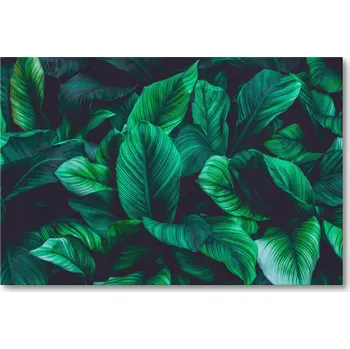 Obraz Obraz na plátně LISTY TROPICKÉ DŽUNGLE 70 x 50 cm