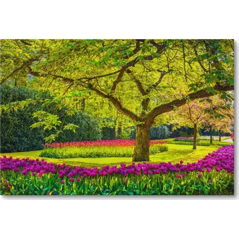 Obraz Obraz na plátně JARNÍ TULIPÁNY V KEUKENHOFU 40 x 30 cm