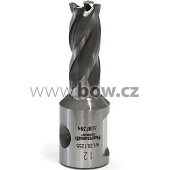 Příslušenství k vrtačce BOW Jádrový vrták o 12 mm (silver-Line 25), 38720.125512