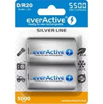 EverActive Silver Line nabíjecí baterie D (R20) 5500 mAh 2ks (EVHRL20-5500)