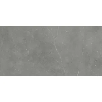 Dlažba RAKO Fly RAKO Fly DAKV9884 dlaždice slinutá tmavě šedá 60x120 cm