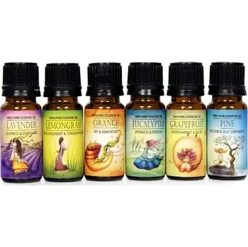 Airbi Esenciální olej balíček 6 různých druhů 6x 10 ml (8594162600861)