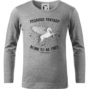 Chlapecké tričko Pegasus fantasy - Triko dětské Long Sleeve - 122 cm/6 let ( Tmavě šedý melír )