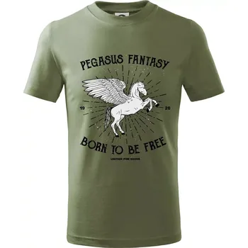 Dětská móda Pegasus fantasy - Tričko dětské bavlněné - 146 cm/10 let ( Khaki )