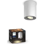 Philips Hue WA Pillar bodové LED svítidlo GU10 1x5W bílá (SKL000347036)
