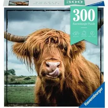 Ravensburger Skotský náhorní skot (13273)