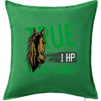 Polštář True Horse Power 1 HP - Polštář 50x50 - 50x50 - Pouze potah ( Středně zelená )