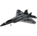 Fleg F-22 Raptor (8595142717838)