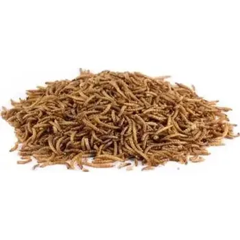 Pamlsek pro psa animALL Moučný červ sušený 70 g (110725)