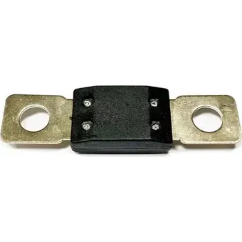 Autopojistky Victron Pojistka DC MEGA 250A/58V (CIP137250010)