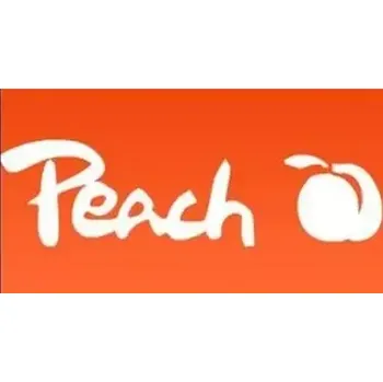 Peach alternativní cartridge Brother LC-3213 černá (320480)