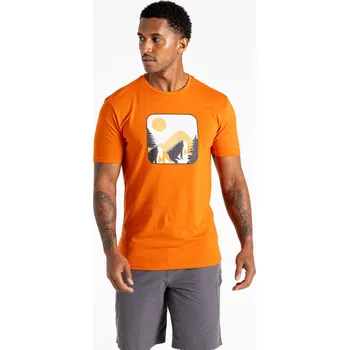 Pánské tričko Dare2b Pánské balvlněné triko Movement Tee III DMT780 spicy route Velikost: S